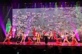 [Foto] Celebran en Vietnam Festival Cultural de grupos étnicos en el Noroeste del país