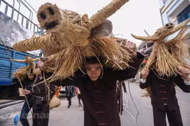 [Foto] Fiesta de búfalos y vacas de la paja en Vinh Phuc