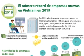 [Info] El número récord de empresas nuevas en Vietnam en 2019