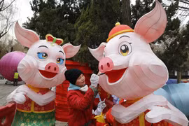 [Fotos] Países de Asia celebran fiestas del Nuevo Año Lunar 