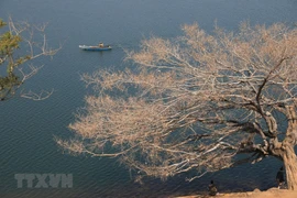 [Foto] Belleza de la provincia central Gia Lai