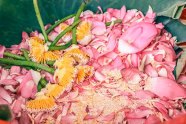 [Foto] Descubre elaboración de té con aroma de flor de loto