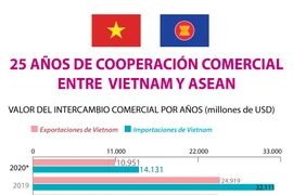 [Info] 25 AÑOS DE COOPERACIÓN COMERCIAL ENTRE VIETNAM-ASEAN
