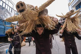 [Foto] Fiesta de búfalos y vacas de la paja en Vinh Phuc