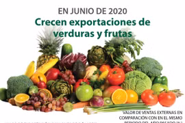 [Info] Exportaciones de verduras y frutas de Vietnam aumentan tras meses de caída