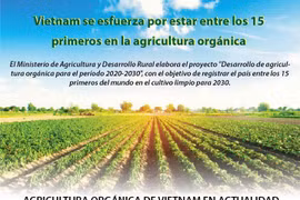 [Info] Vietnam se esfuerza por estar entre los 15 primeros en la agricultura orgánica