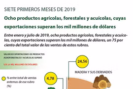 [Info] Ocho productos agrícolas, forestales y acuícolas, cuyas exportaciones superan los mil millones de dólares