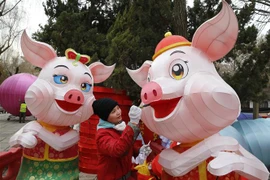 [Fotos] Países de Asia celebran fiestas del Nuevo Año Lunar 