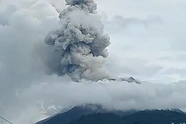 El monte Lewotobi Laki-Laki en la isla de Flores, de la provincia indonesia de Nusa Tenggara, entró en erupción el 3 de noviembre (Fuente: Detiknews)