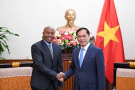 El viceprimer ministro y canciller de Vietnam, Bui Thanh Son, sostiene una reunión con el viceministro de Asuntos Exteriores y Cooperación de Tanzania, Cosato David Chumi (Fuente: VNA)