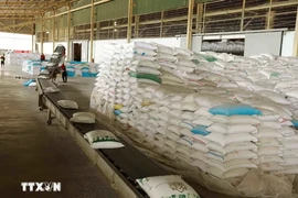 Las naciones africanas han aumentando en los últimos tiempos la compra de arroz aromático vietnamita (Fuente:VNA)