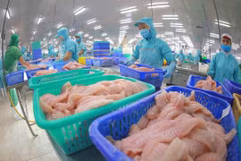 Foto de ilustración. (Fuente;Internet)