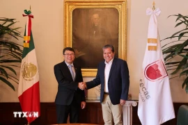 El embajador vietnamita designado en México, Nguyen Van Hai se reunió con el gobernador de Zacatecas, David Monreal Ávila (Fuente: VNA)