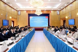 En la reunión de revisión a mitad de período de la primera fase de la Iniciativa conjunta Vietnam - Japón (Fuente: VNA)