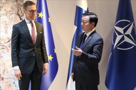 El viceprimer ministro vietnamita Tran Hong Ha (derecha) sostiene reuniones con el presidente finlandés Alexander Stubb (Fuente: VNA)