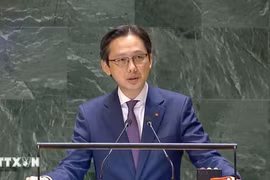 El viceministro de Relaciones Exteriores vietnamita Do Hung Viet (Fuente: VNA)