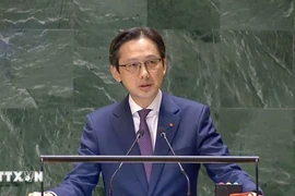 El viceministro de Relaciones Exteriores vietnamita Do Hung Viet (Fuente: VNA)