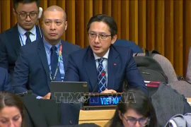 El viceministro de Relaciones Exteriores vietnamita Do Hung Viet ratificó el firme compromiso de su país con los esfuerzos de ayuda humanitaria (Fuente: VNA)