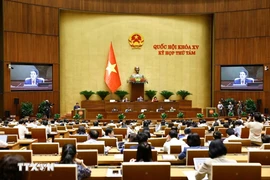Los diputados vietnamitas de la Asamblea Nacional de la XV Legislatura discutirán el proyecto para enmendar y complementar algunos artículos de la Ley de Publicidad (Fuente: VNA)