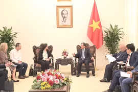 El viceprimer ministro y canciller vietnamita, Bui Thanh Son (derecha), recibió a la vicepresidenta del Banco Mundial (BM) para Asia Oriental y el Pacífico, Manuela V.Ferro (Fuente: VNA)