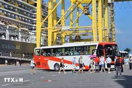 Casi dos mil vacacionistas extranjeros arribaron al puerto de Tien Sa, en la ciudad costera vietnamita de Da Nang (Fuente: VNA)
