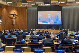 El embajador Dang Hoang Giang, jefe de la misión permanente de Vietnam ante ONU participó en el debate del Comité de Asuntos Sociales, Humanitarios y Culturales (Fuente: VNA)