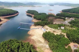 Día Mundial del Agua 2024: “Agua para la paz”
