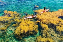Turismo marítimo e insular da un impulso al desarrollo económico