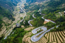 "Camino de la Felicidad" en la meseta rocosa de Ha Giang