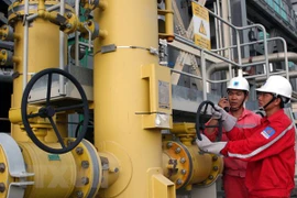 Presentan inversores en proyectos eléctricos en provincia vietnamita