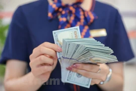 Nuevo ajuste de la FED no afecta economía de Vietnam 