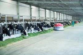 Vinamilk mantiene su posición líder de marcas comerciales en Vietnam 