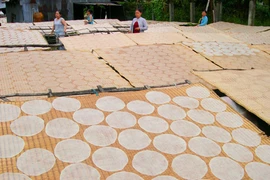 Aldea de papeles de arroz en Delta del río Mekong en Vietnam 