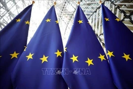 Acciones unilaterales en Mar del Este socavan seguridad marítima regional, según UE