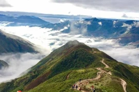 Ta Xua, tierra helada y nublada del norte de Vietnam