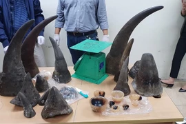 Promueven en Vietnam las investigaciones sobre el tráfico de animales silvestres