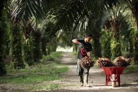 Considera la India limitar importación de productos de Malasia