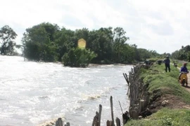 Debaten Vietnam y Países Bajos sobre gestión del agua en Delta del río Mekong