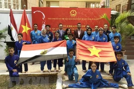 Destacan potencialidades de cooperación entre Vietnam y Egipto