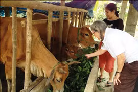 Provincia central vietnamita ayuda a víctimas del Agente Naranja/Dioxina