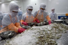 Ganan el calamar y el pulpo de Vietnam espacio en el mercado estadounidense