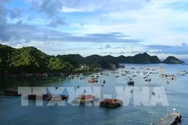Busca Vietnam soluciones para promover desarrollo turístico