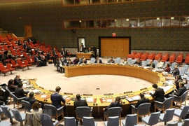 Confía exvicecanciller en elección de Vietnam como miembro de Consejo de Seguridad de la ONU