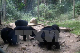 Promueven en Vietnam protección de especies en peligro de extinción