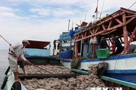 Delegación europea elogia esfuerzos vietnamitas en implementación de medidas contra la pesca ilegal 