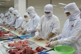 Incrementa Vietnam exportaciones de atún a Estados Unidos