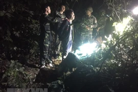 Captura Vietnam narcotraficante laosiano e incauta 294 kilógramos de metanfetamina