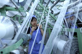 Optimista Banco Asiático de Desarrollo sobre perspectivas económicas de Vietnam 
