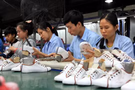 Prevén en Vietnam alto crecimiento de exportaciones de cuero y calzado