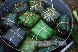 Experimentan turistas extranjeros elaboración de pastel típico de Tet en Vietnam